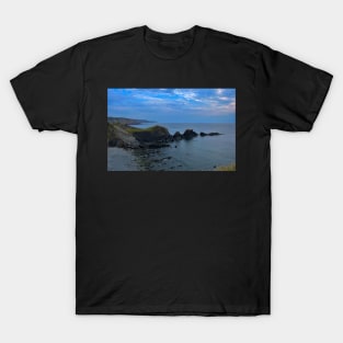 Hartland Shoreline T-Shirt